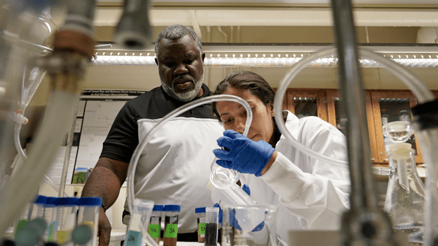 Soil researcher prepares a soil sample